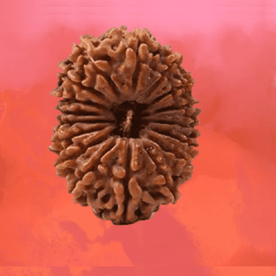 17 Mukhi Rudraksha
